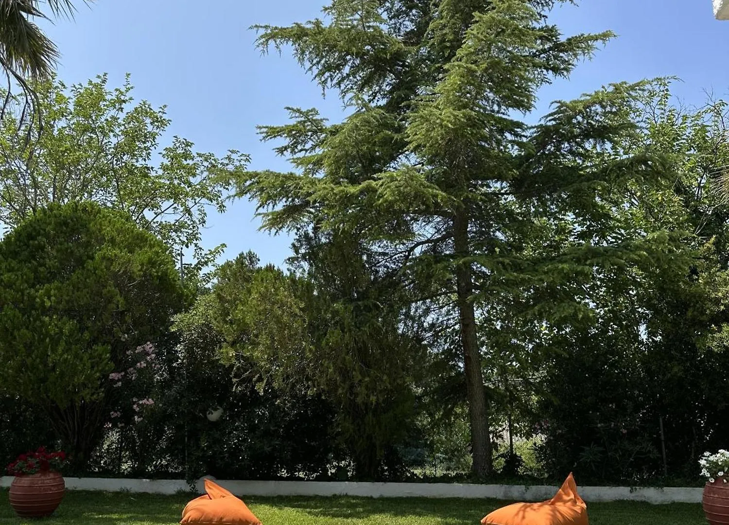 Sophies Olive Haven Appartement Possidi